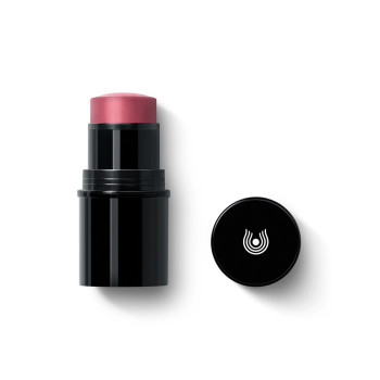 Lip to Cheek – Blushstick Lip to Cheek – Blushstick