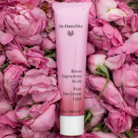 Voorvertoning: Dr. Hauschka Rozencrème Light: harmoniserende rozencrème, milde gezichtsverzorging Voorvertoning: Dr. Hauschka Rozencrème Light: harmoniserende rozencrème, milde gezichtsverzorging